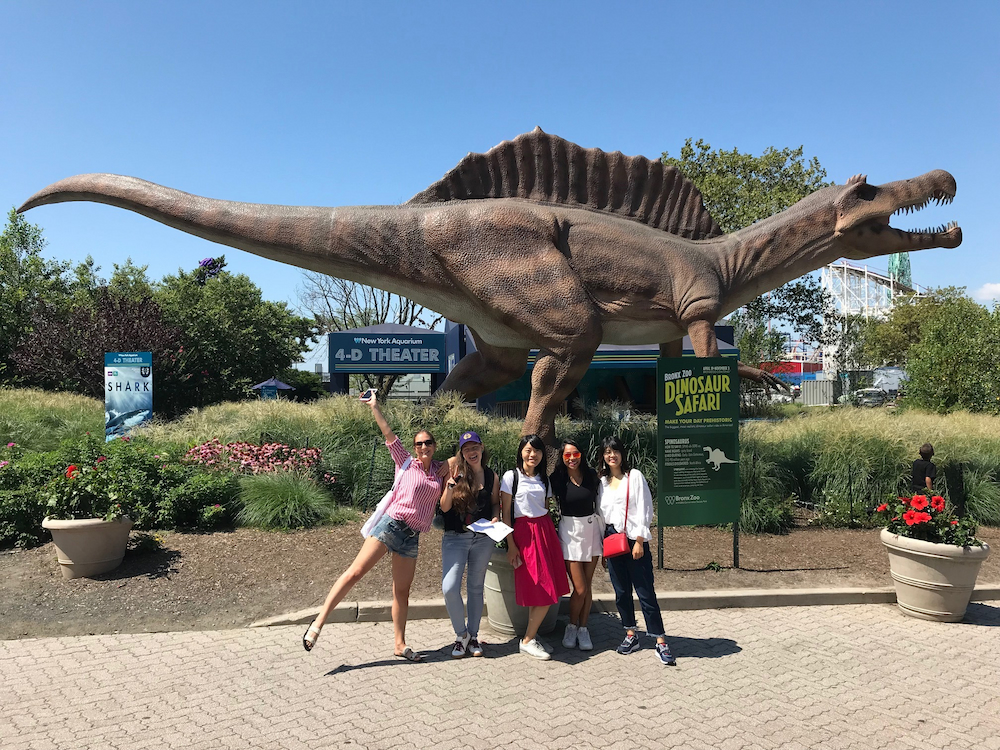 Discover, Connect, and Learn Beyond the Classroom School Activities and Events in New York