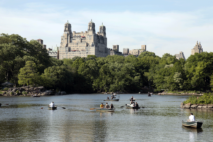 central park in summer