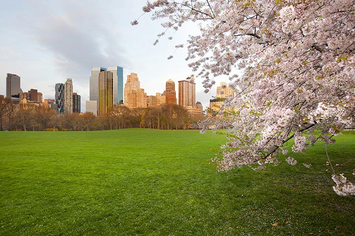 spring in new york