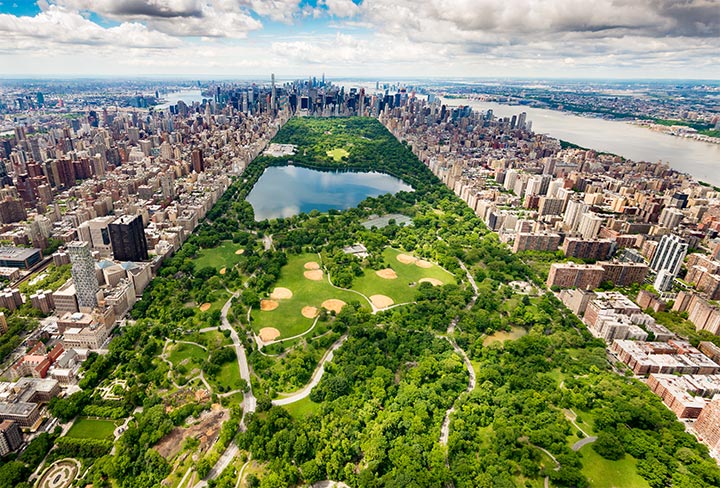 summer-central-park